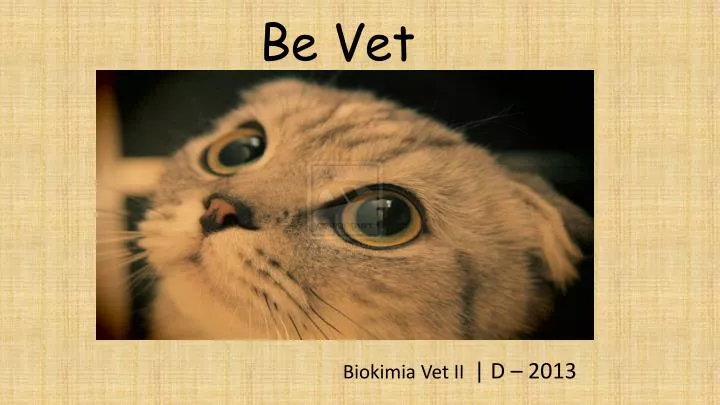 be vet