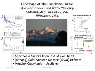 Landscape of the Quarkonia Puzzle Quarkonia in Deconfined Matter Workshop