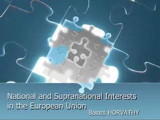 National and Supranational Interests in the European Union
