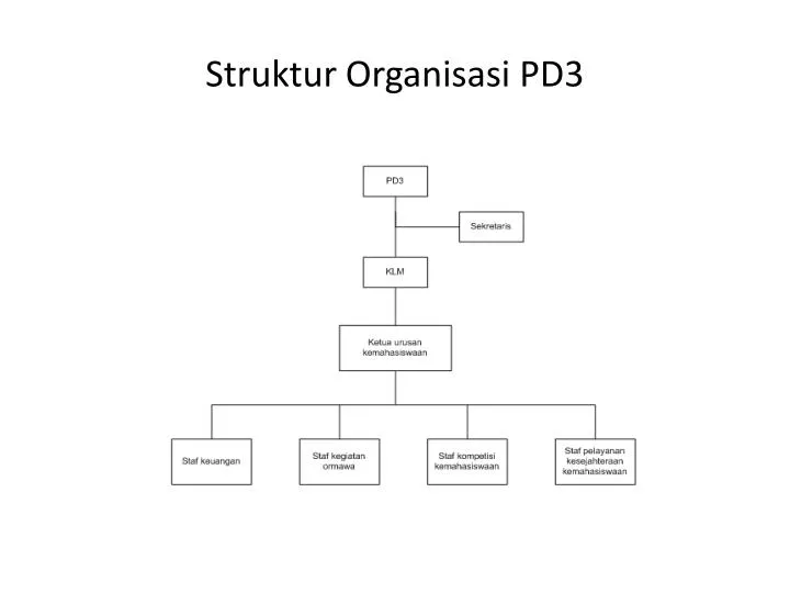 struktur organisasi pd3