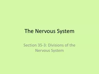 The Nervous System