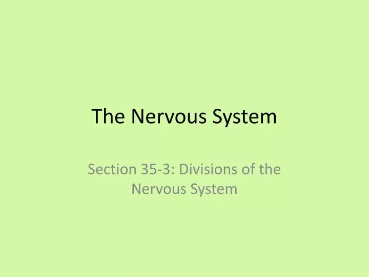 the nervous system