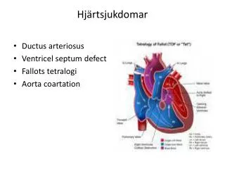 hj rtsjukdomar