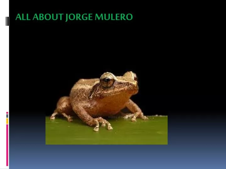 all about jorge mulero