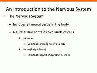 An Introduction to the Nervous System