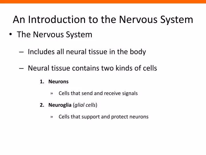 an introduction to the nervous system