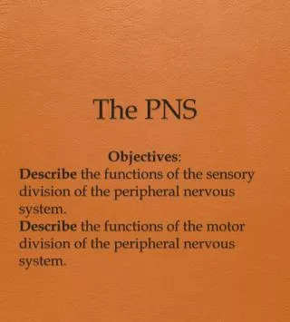 The PNS