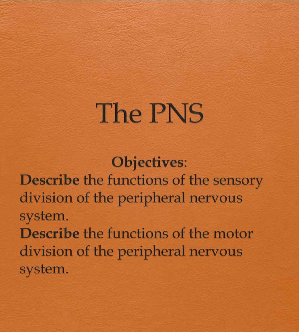 Picture of PPT - Understanding the Functions of the Peripheral Nervous System (PNS ...