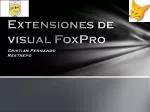 Extensiones de visual FoxPro - slide 1