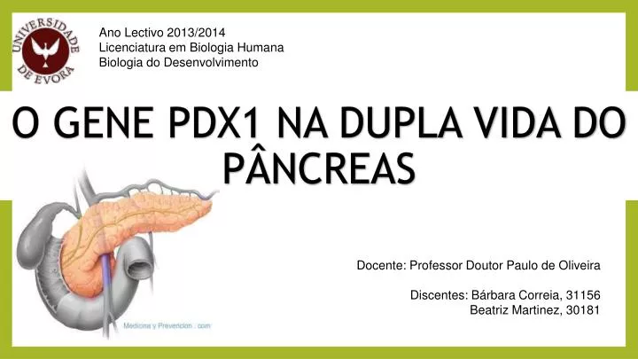 o gene pdx1 na dupla vida do p ncreas