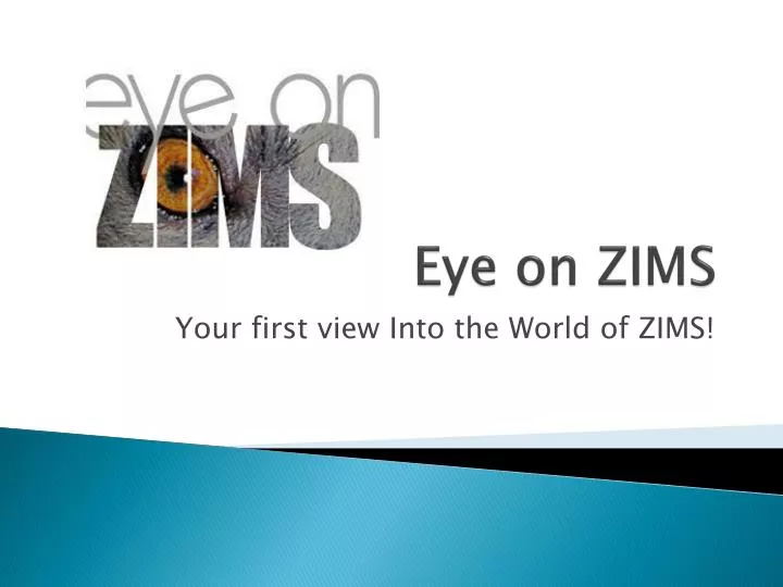 eye on zims