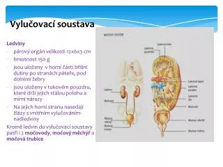 vylu ovac soustava