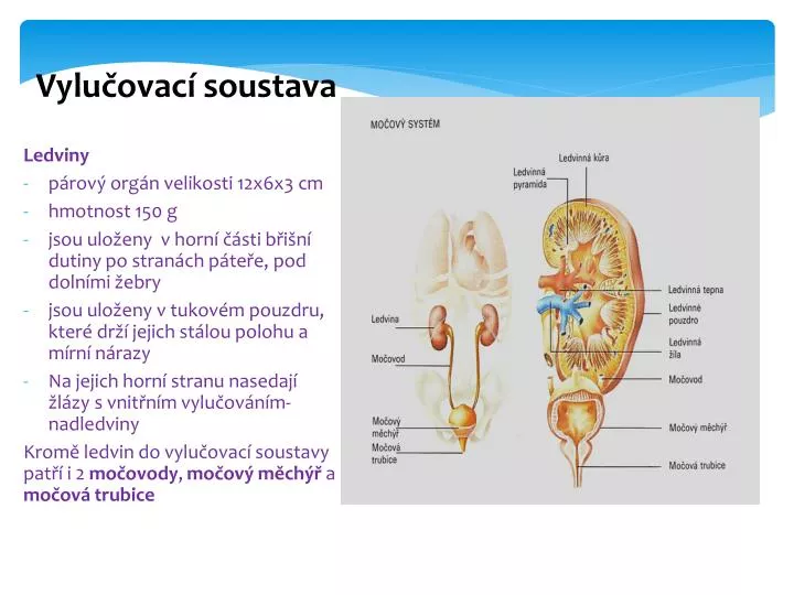 vylu ovac soustava