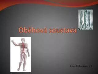 ob hov soustava