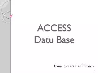 access datu base
