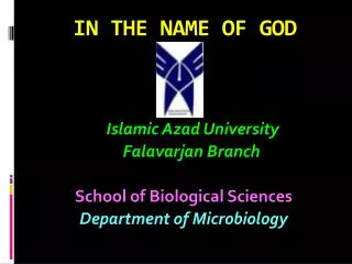 in the name of god