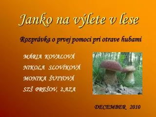 janko na v lete v lese