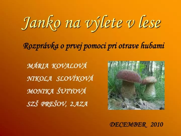 janko na v lete v lese