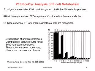 V18 EcoCyc Analysis of E.coli Metabolism