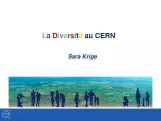 l a d i v e r s i t au cern sara krige
