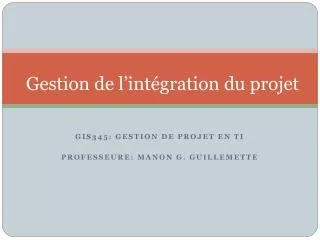 gestion de l int gration du projet
