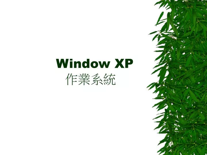 window xp