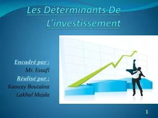 les d terminants de l investissement
