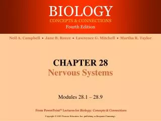 chapter 28 nervous systems