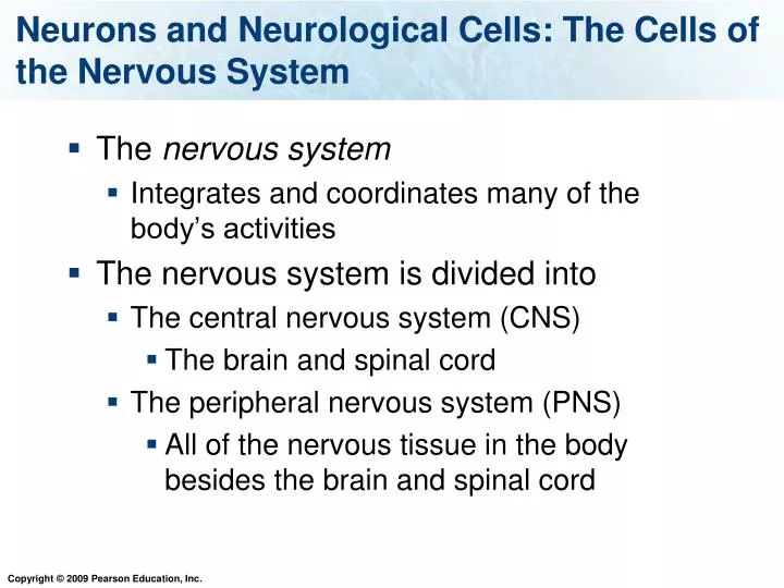 neurons and neurological cells the cells of the nervous system