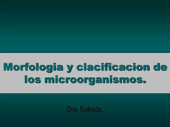 morfologia y clacificacion de los microorganismos