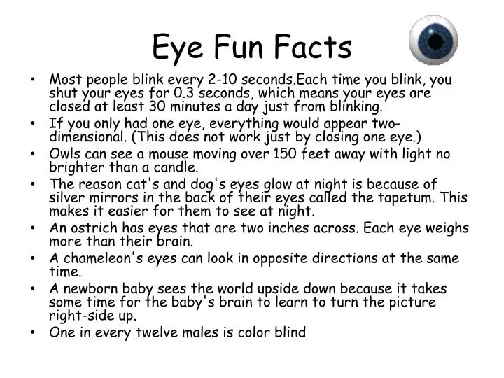eye fun facts