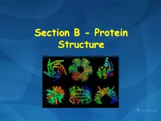 Section B - Protein Structure