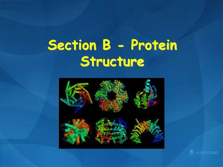 section b protein structure
