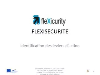 flexisecurite