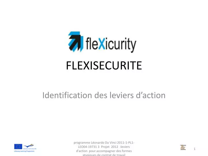 flexisecurite