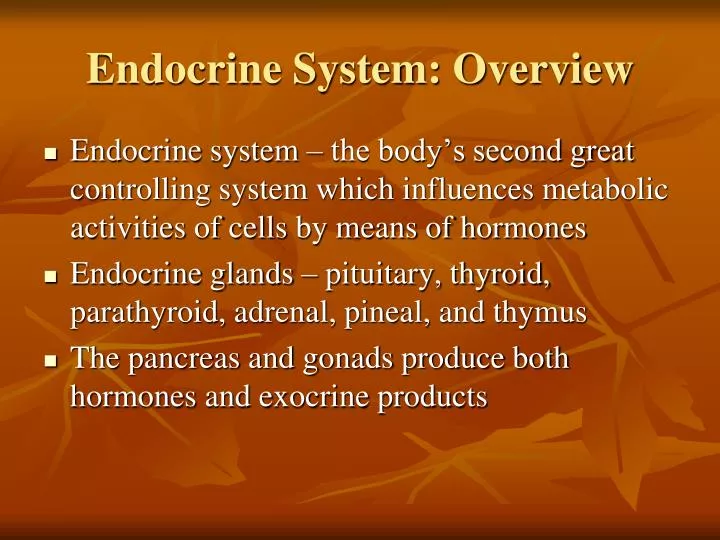 endocrine system overview