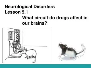 Neurological Disorders Lesson 5.1