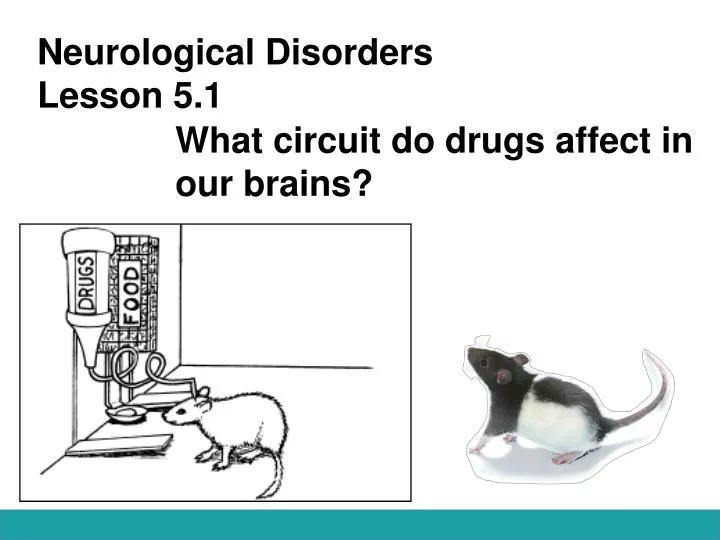 neurological disorders lesson 5 1