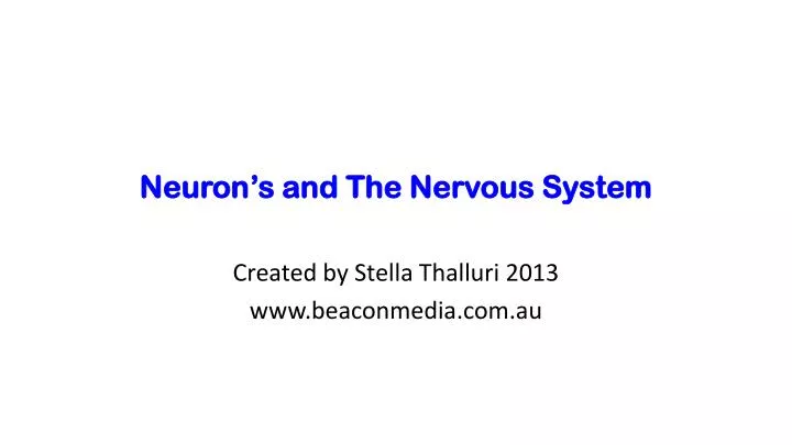 neuron s and the nervous system