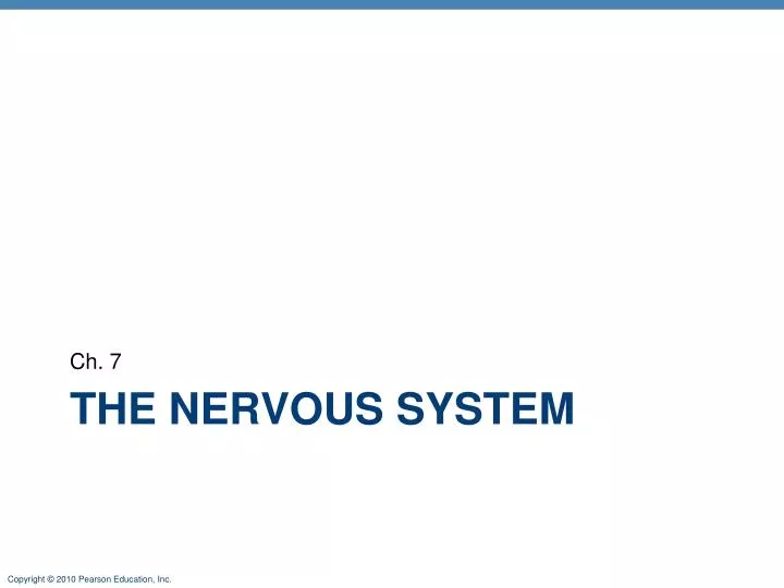 the nervous system