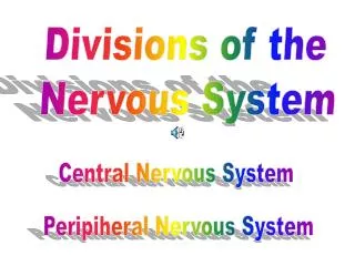 Divisions of the Nervous System