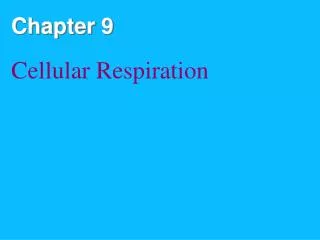 chapter 9