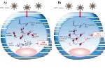 RNAi inactivation - slide 1