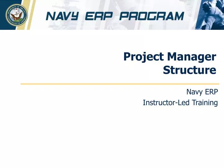 project manager structure