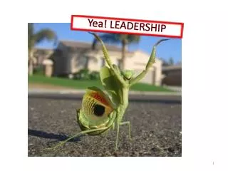 Yea! LEADERSHIP