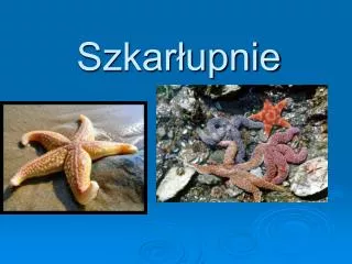szkar upnie
