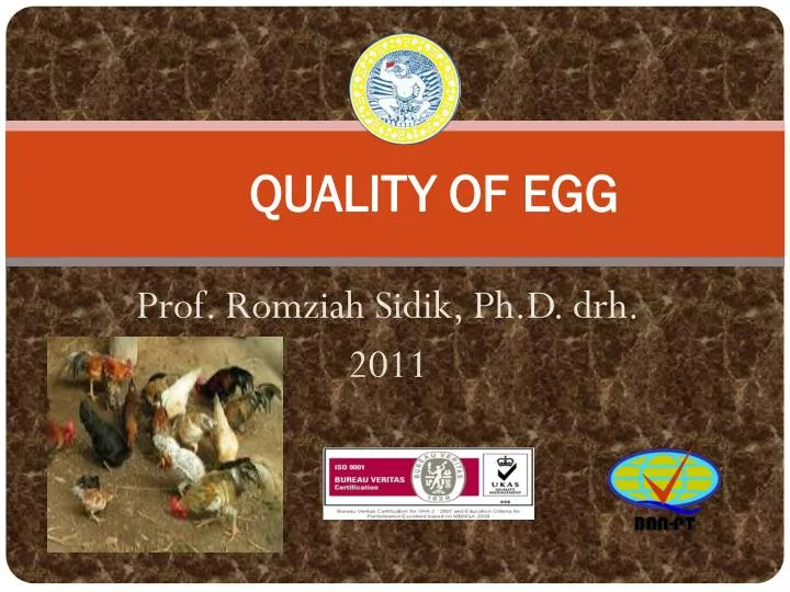quality of egg