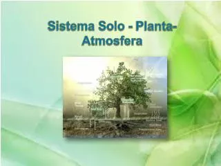 sistema solo planta atmosfera