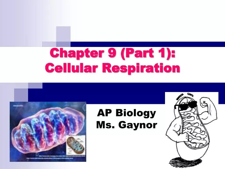 ap biology ms gaynor