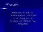 Wings Ltda. - slide 1